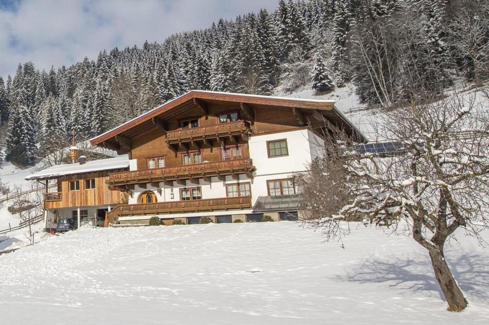 Haus Rendl 1 Lejlighed Bramberg am Wildkogel Eksteriør billede